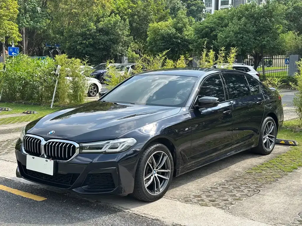 BMW 5 Series 2022 из CN, фото 1