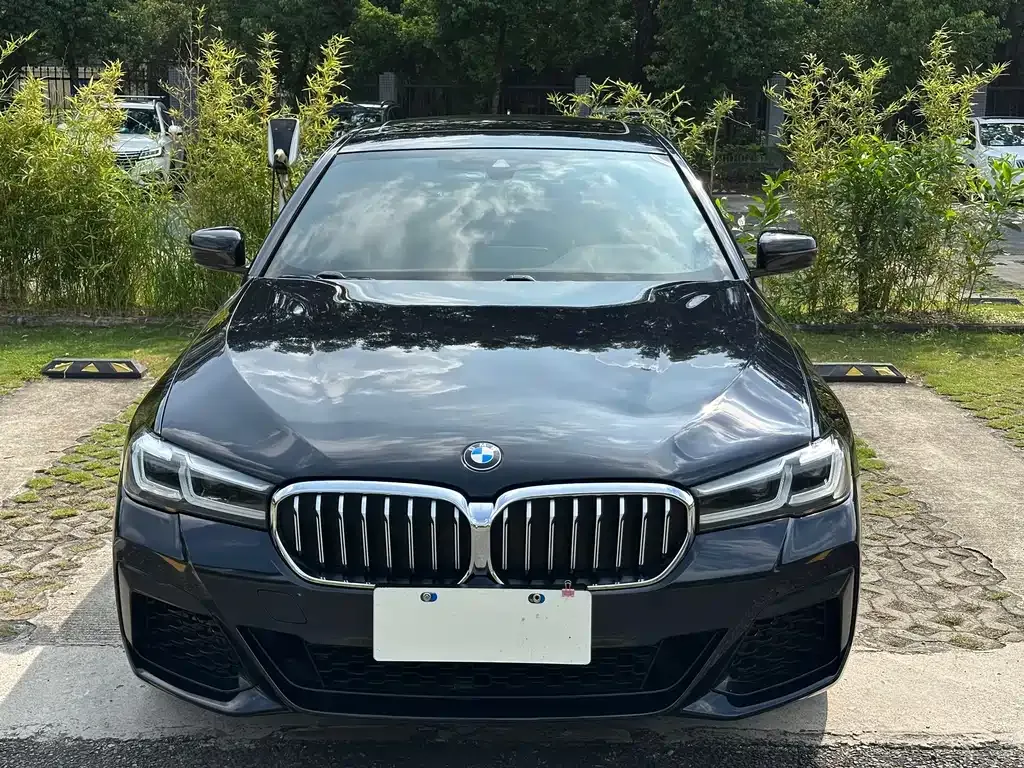 BMW 5 Series 2022 из CN, фото 2