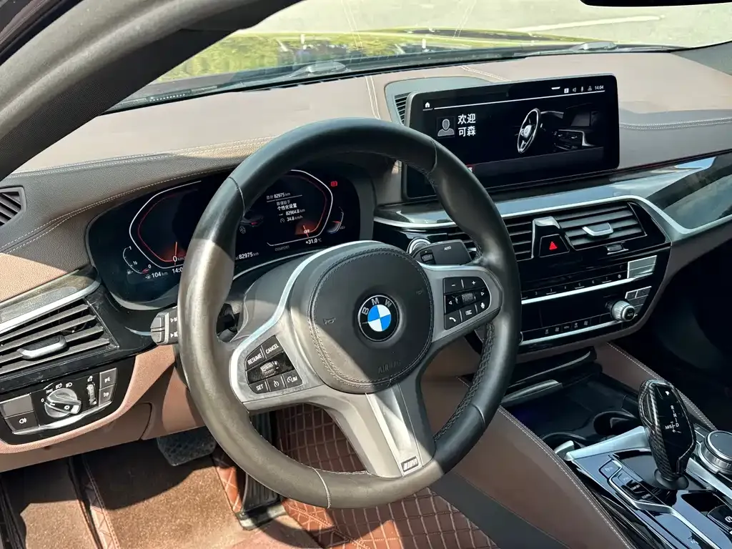 BMW 5 Series 2022 из CN, фото 5