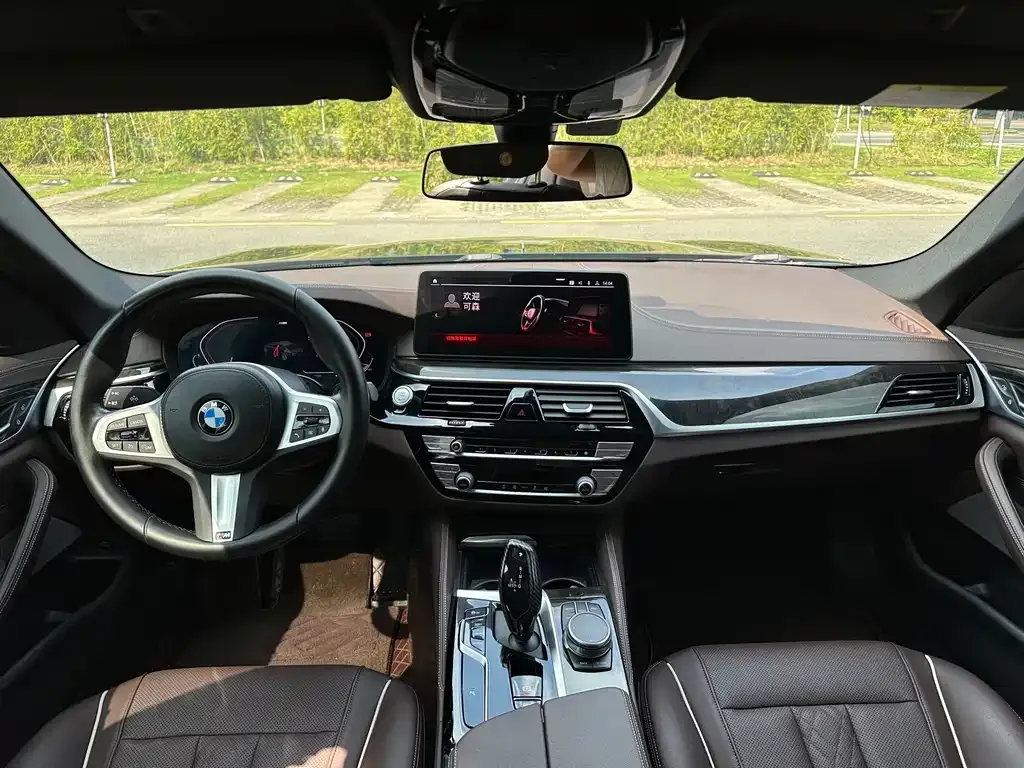 BMW 5 Series 2022 из CN, фото 8