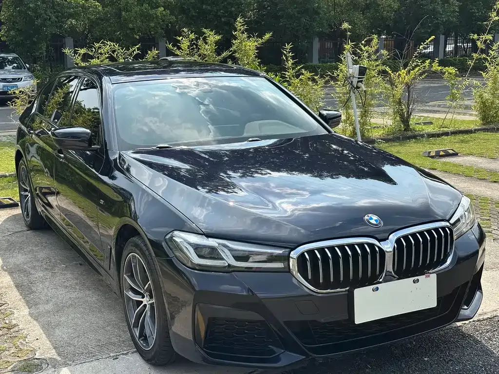 BMW 5 Series 2022 из CN, фото 9