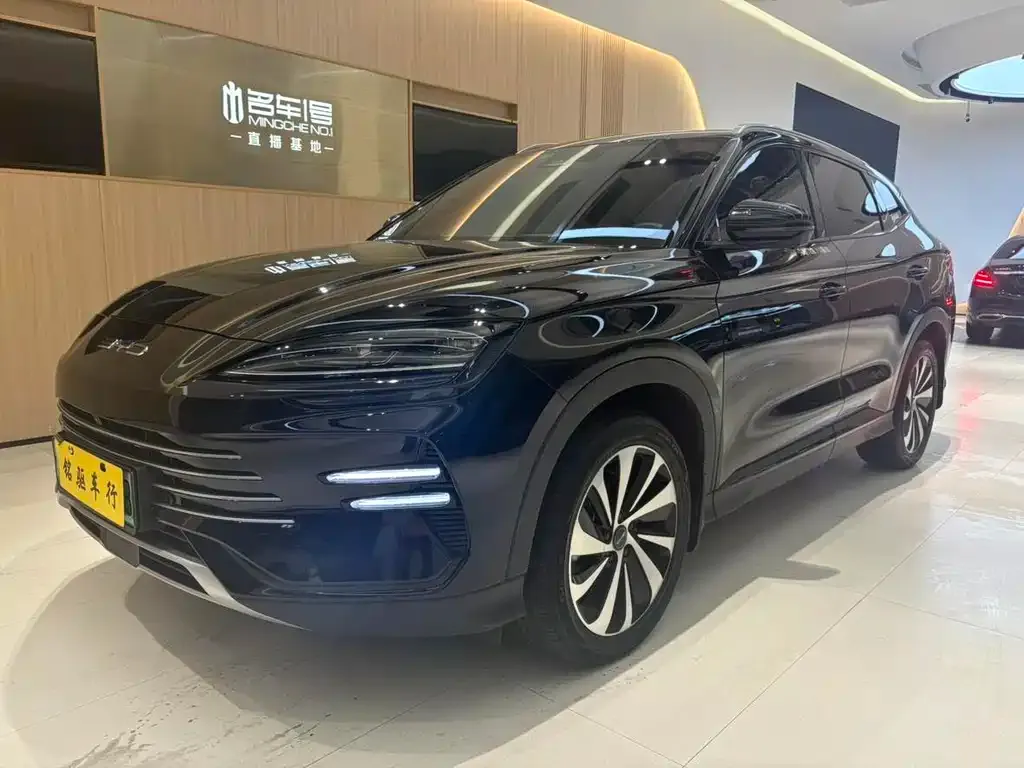 BYD PLUS New Energy 2023 из CN, фото 1