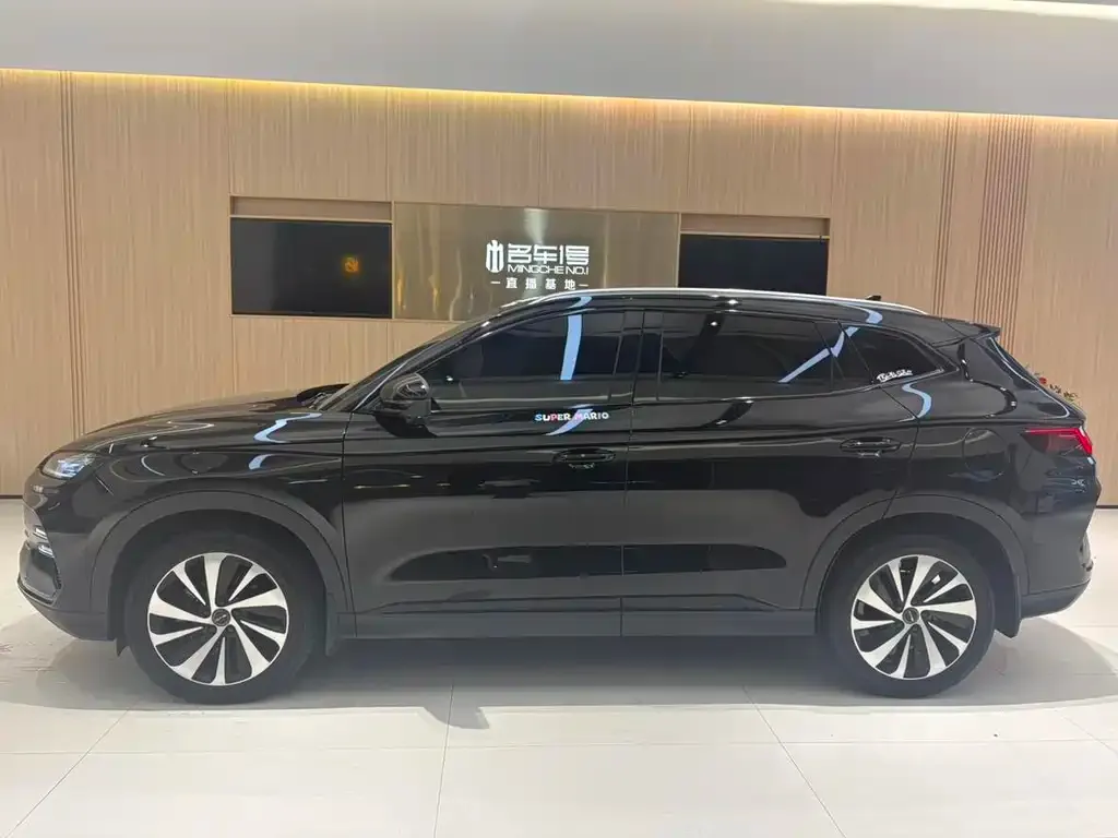 BYD PLUS New Energy 2023 из CN, фото 2