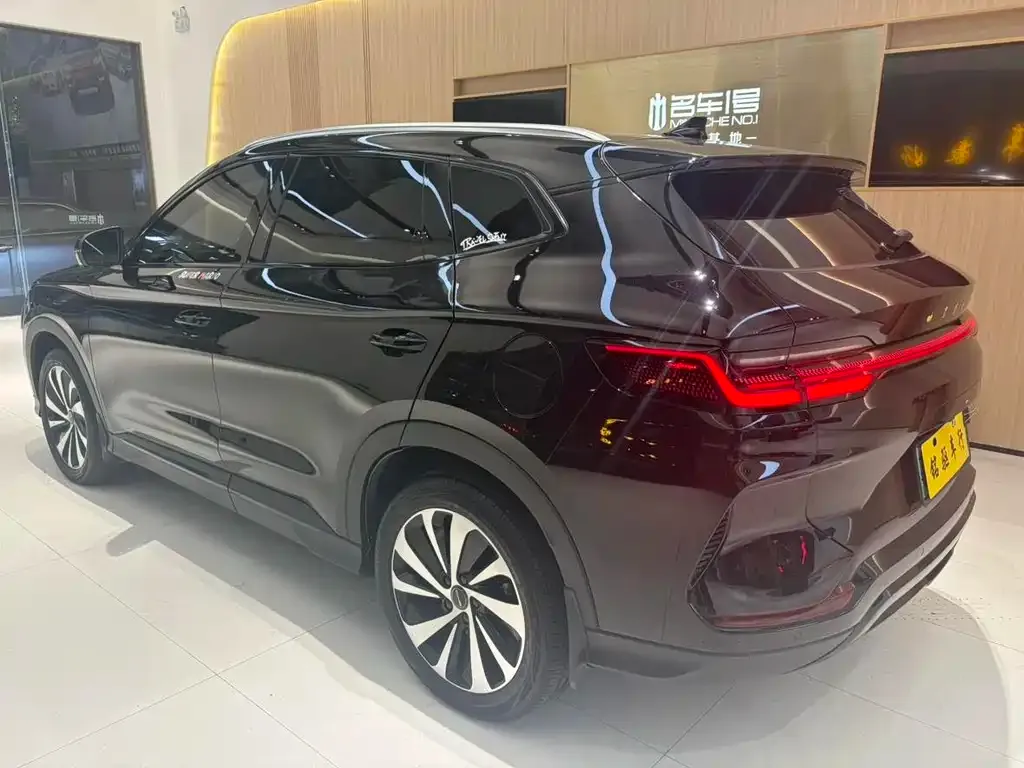 BYD PLUS New Energy 2023 из CN, фото 4