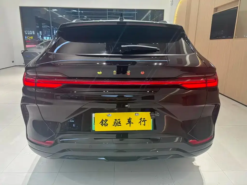 BYD PLUS New Energy 2023 из CN, фото 5