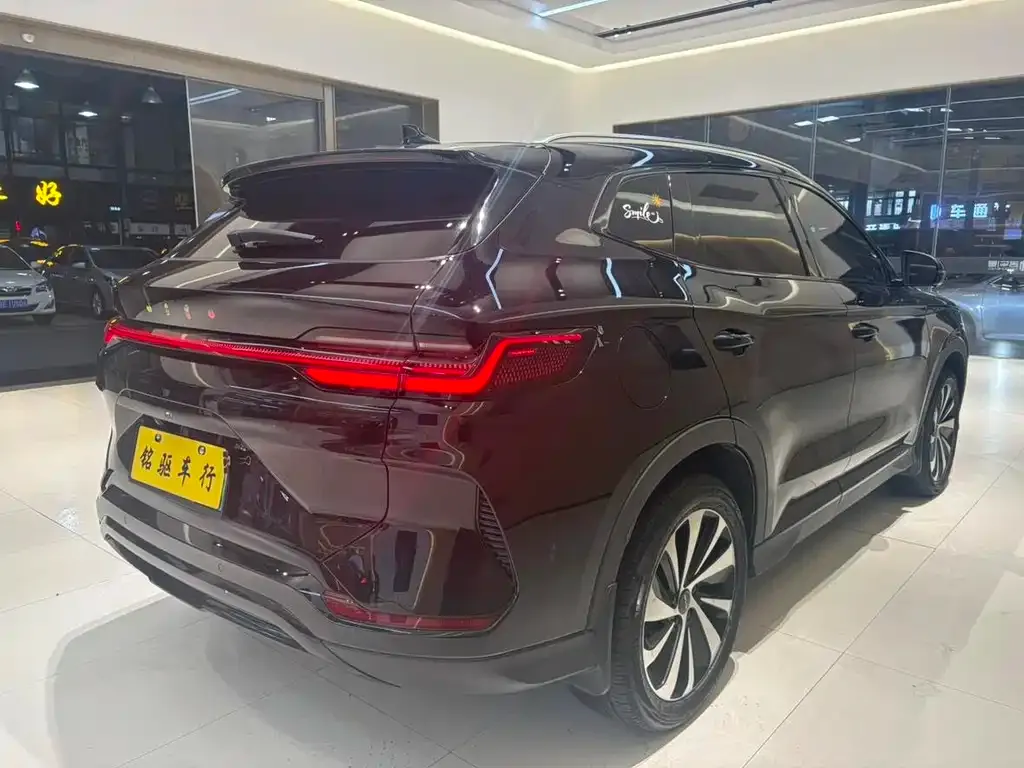 BYD PLUS New Energy 2023 из CN, фото 7