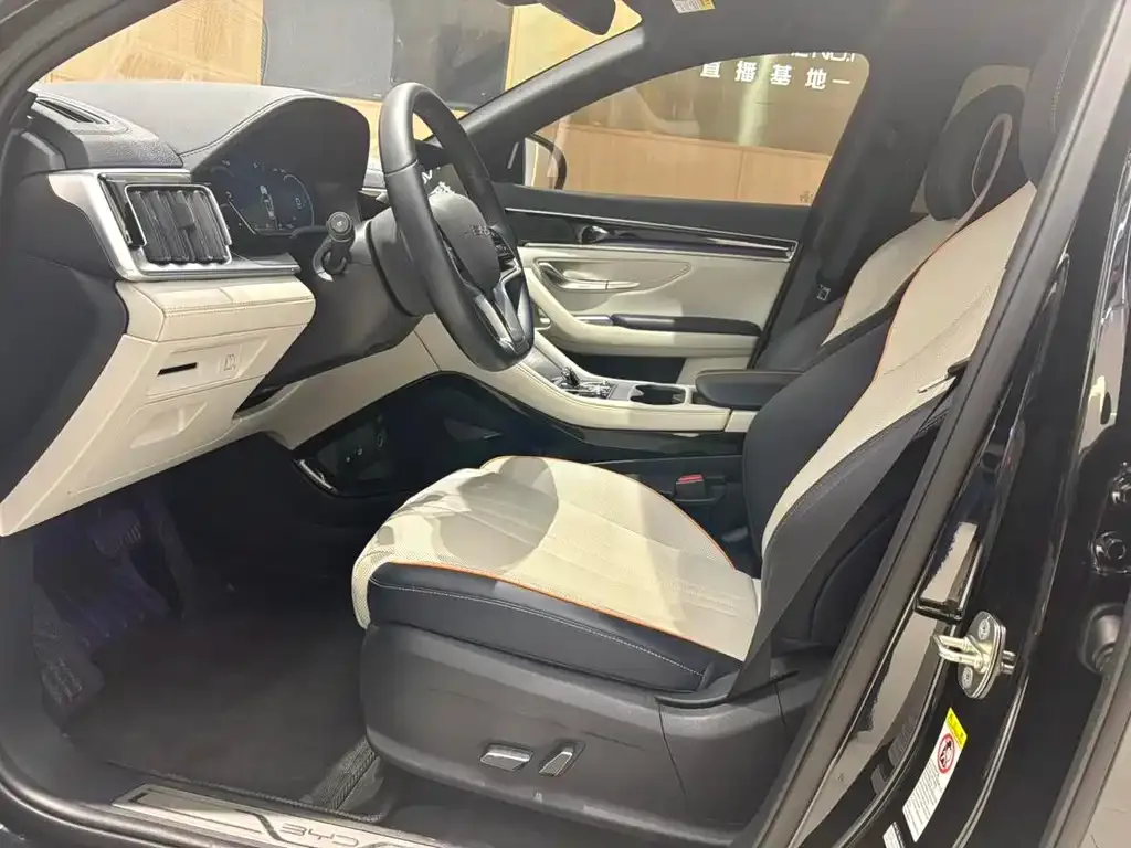 BYD PLUS New Energy 2023 из CN, фото 8
