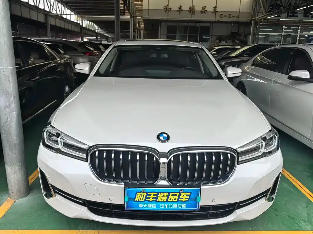 BMW 5 Series 2021 из CN, фото 1