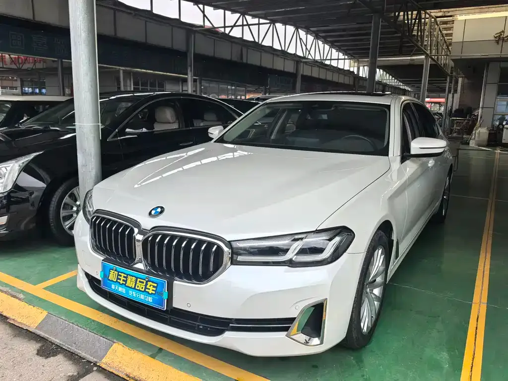 BMW 5 Series 2021 из CN, фото 2