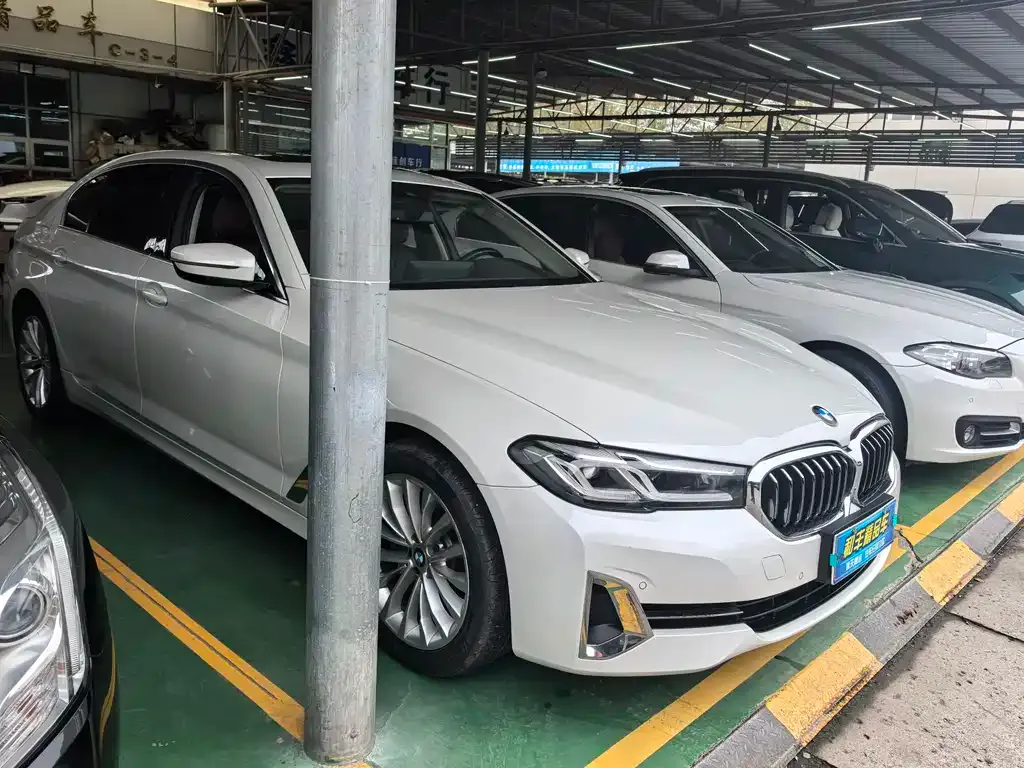 BMW 5 Series 2021 из CN, фото 3