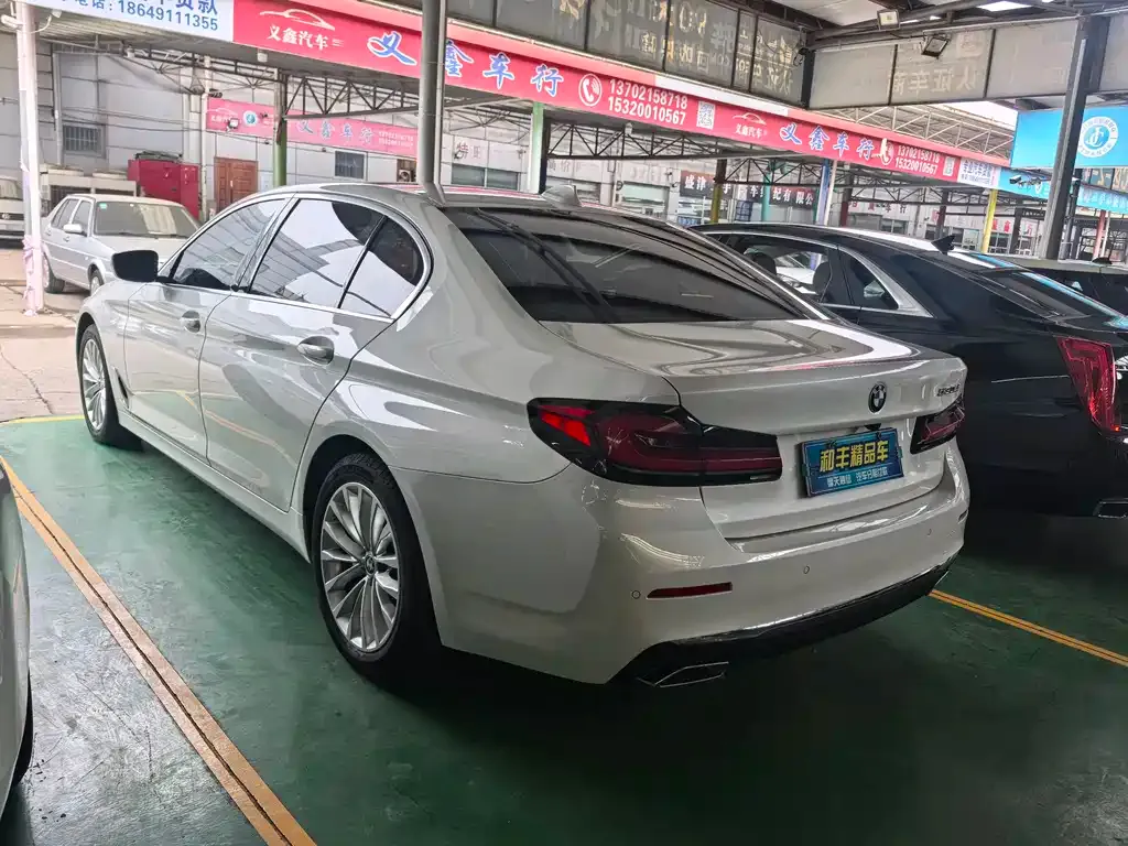BMW 5 Series 2021 из CN, фото 4