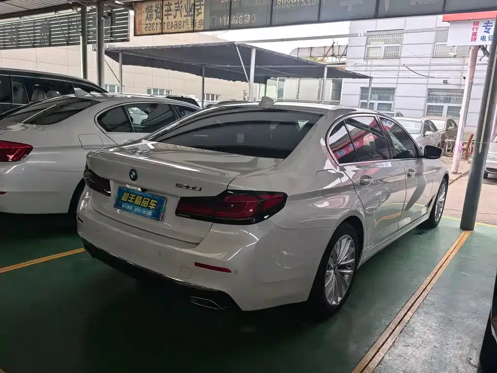 BMW 5 Series 2021 из CN, фото 6