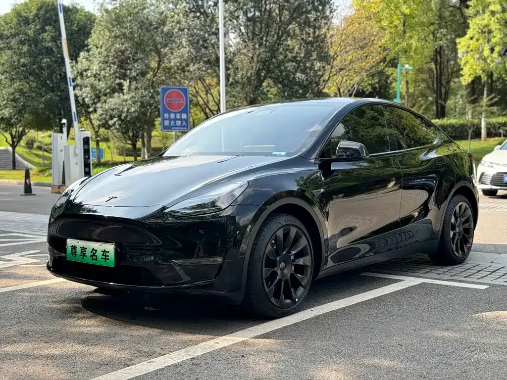 Tesla Model Y 2021 из CN, фото 1
