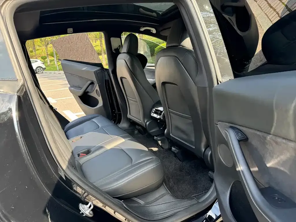 Tesla Model Y 2021 из CN, фото 10