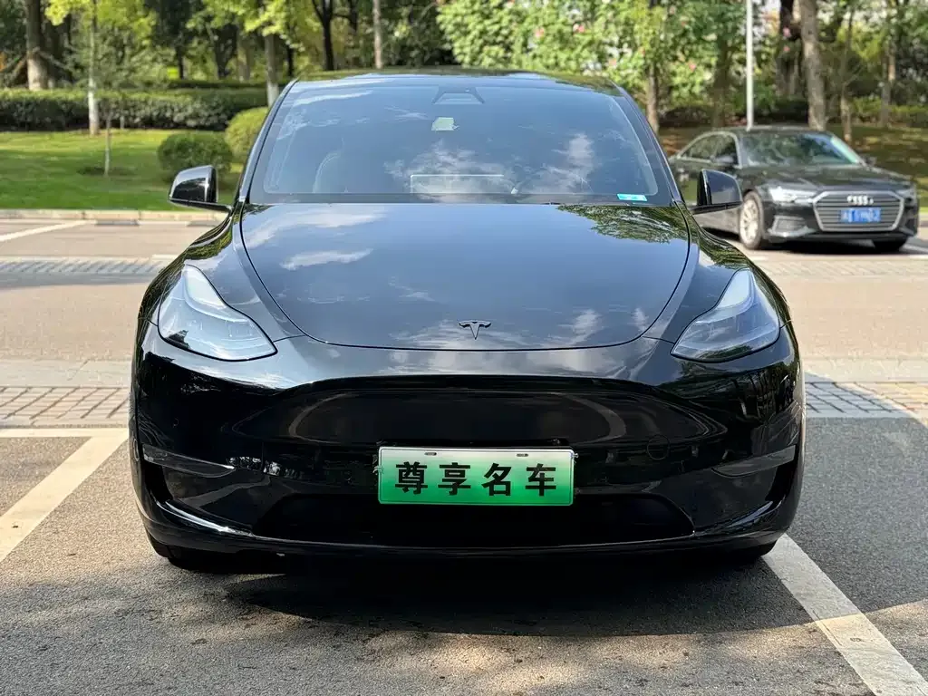 Tesla Model Y 2021 из CN, фото 2