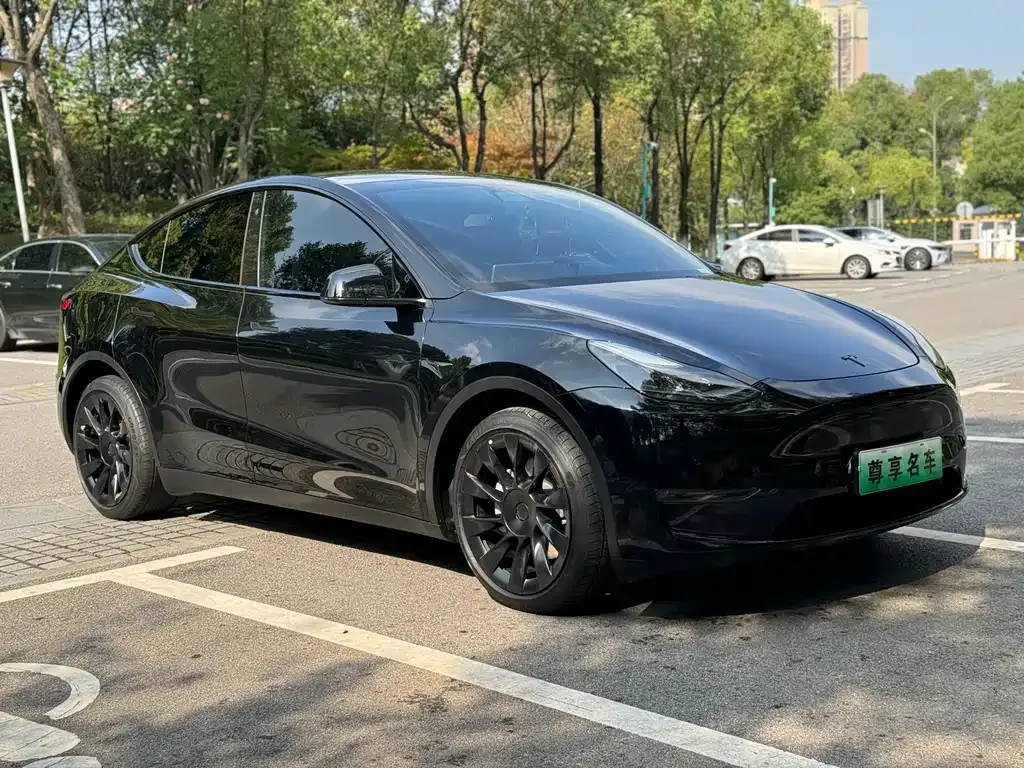 Tesla Model Y 2021 из CN, фото 3