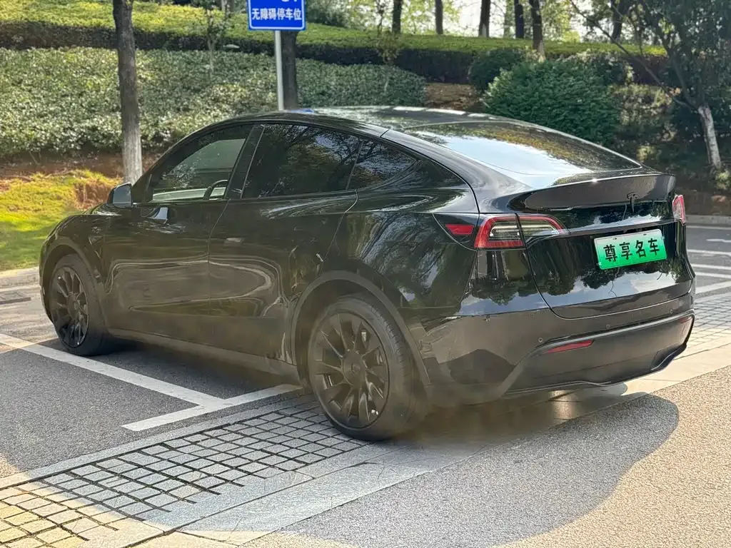 Tesla Model Y 2021 из CN, фото 4