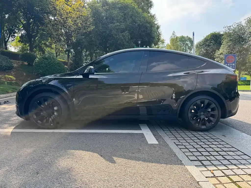 Tesla Model Y 2021 из CN, фото 5