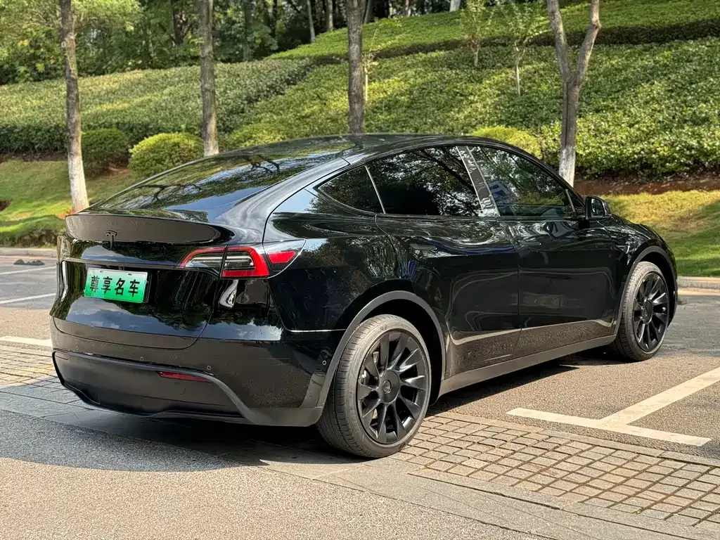 Tesla Model Y 2021 из CN, фото 6