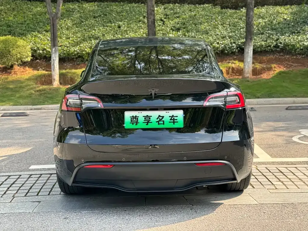 Tesla Model Y 2021 из CN, фото 7