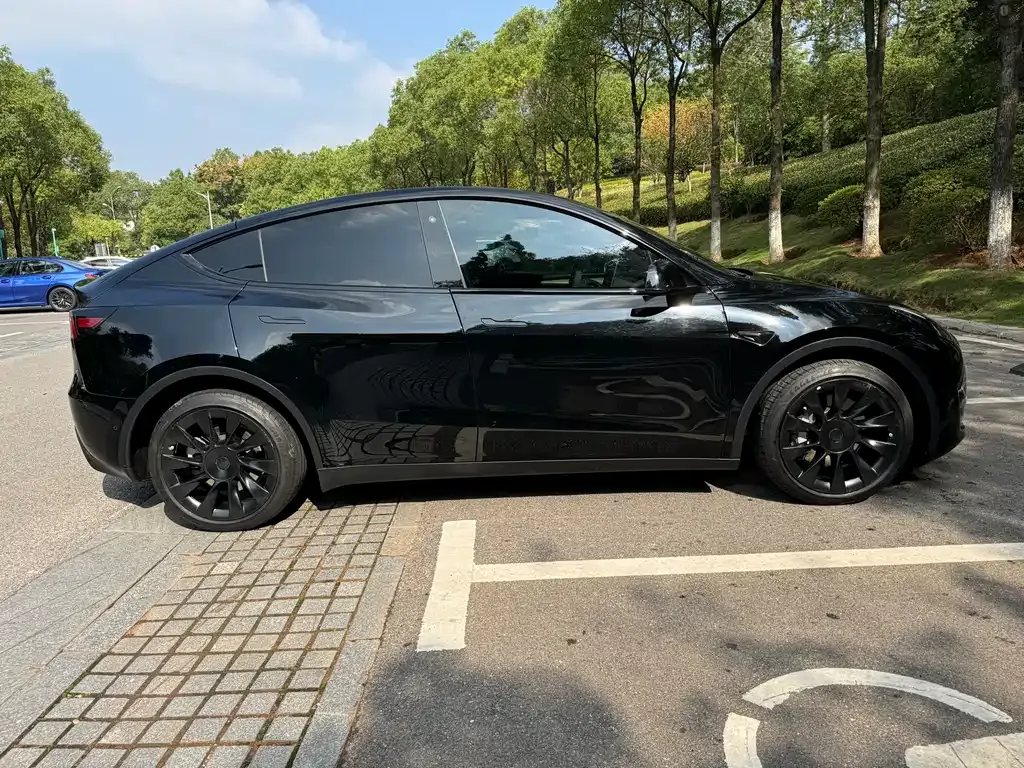 Tesla Model Y 2021 из CN, фото 8