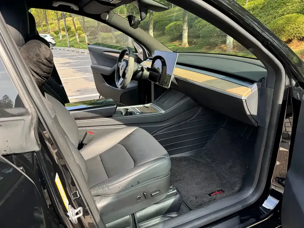 Tesla Model Y 2021 из CN, фото 9