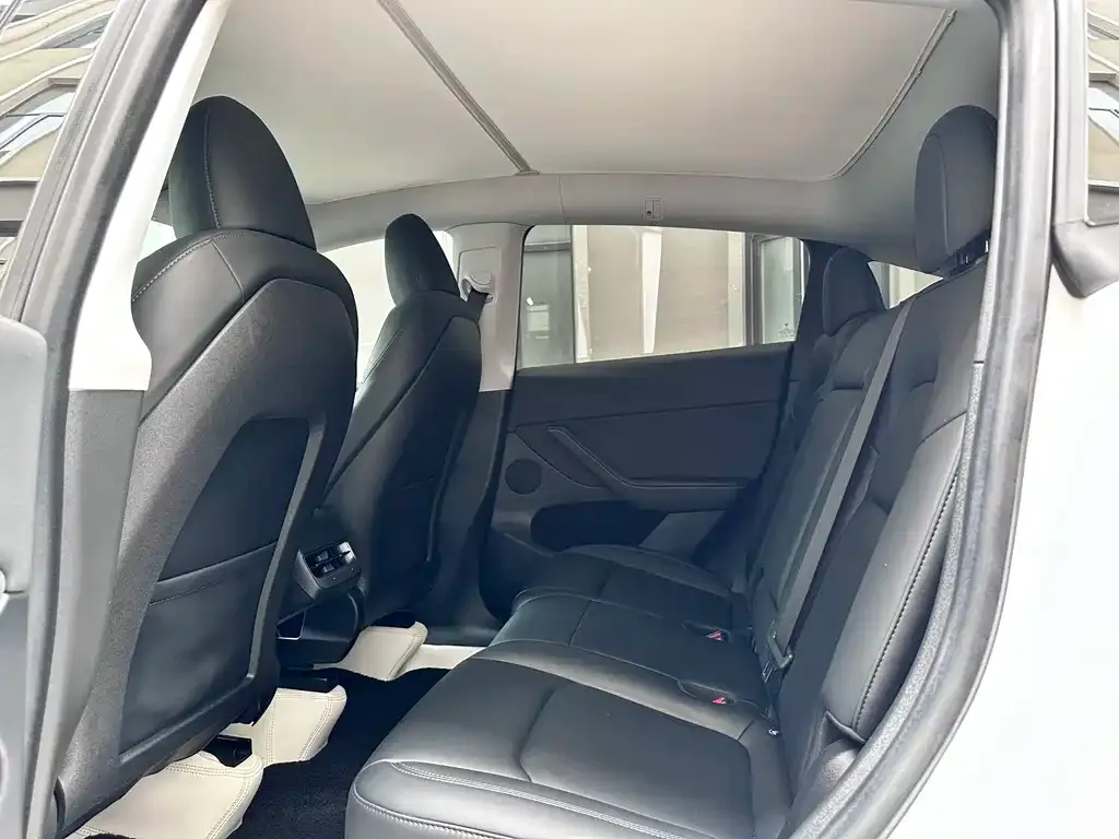 Tesla Model Y 2023 из CN, фото 6