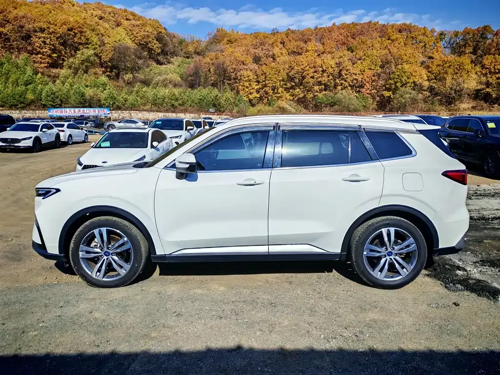 Ford Territory 2022 из CN, фото 4
