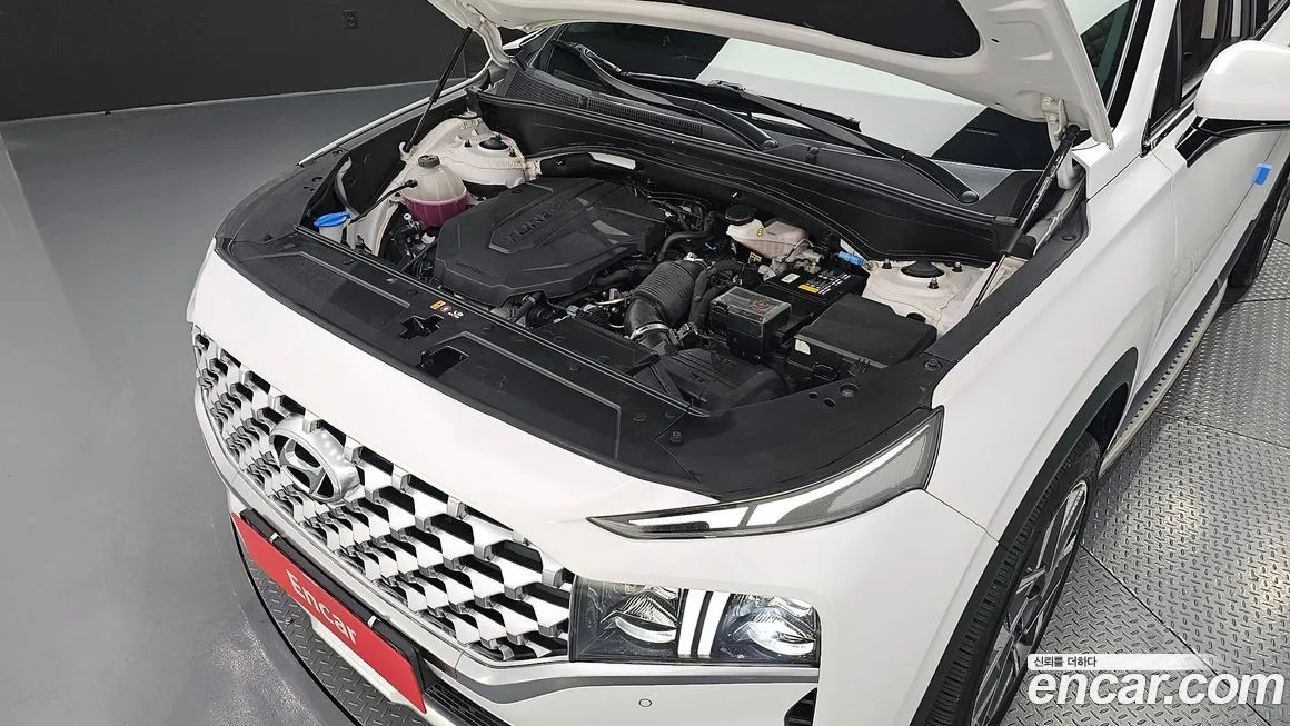Hyundai Santafe 2021 из KR, фото 6