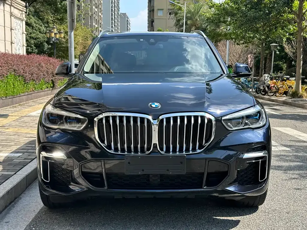 BMW X5 2023 из CN, фото 2
