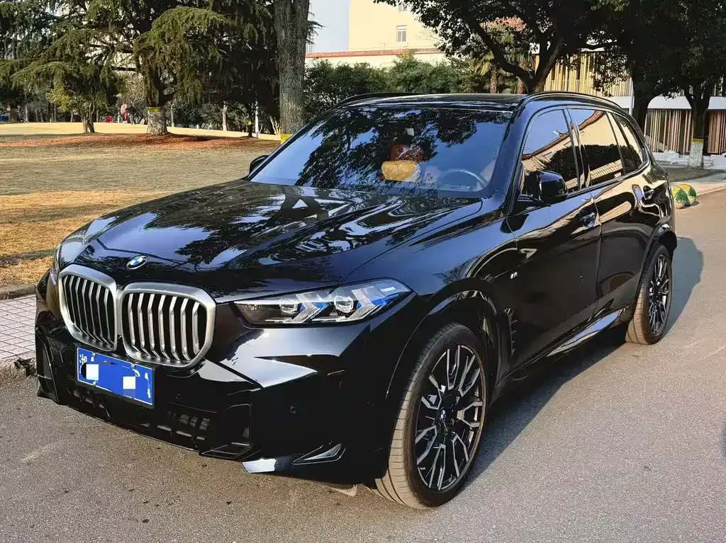 BMW X5 2024 из CN, фото 1