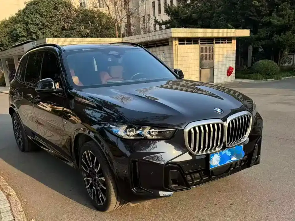 BMW X5 2024 из CN, фото 2