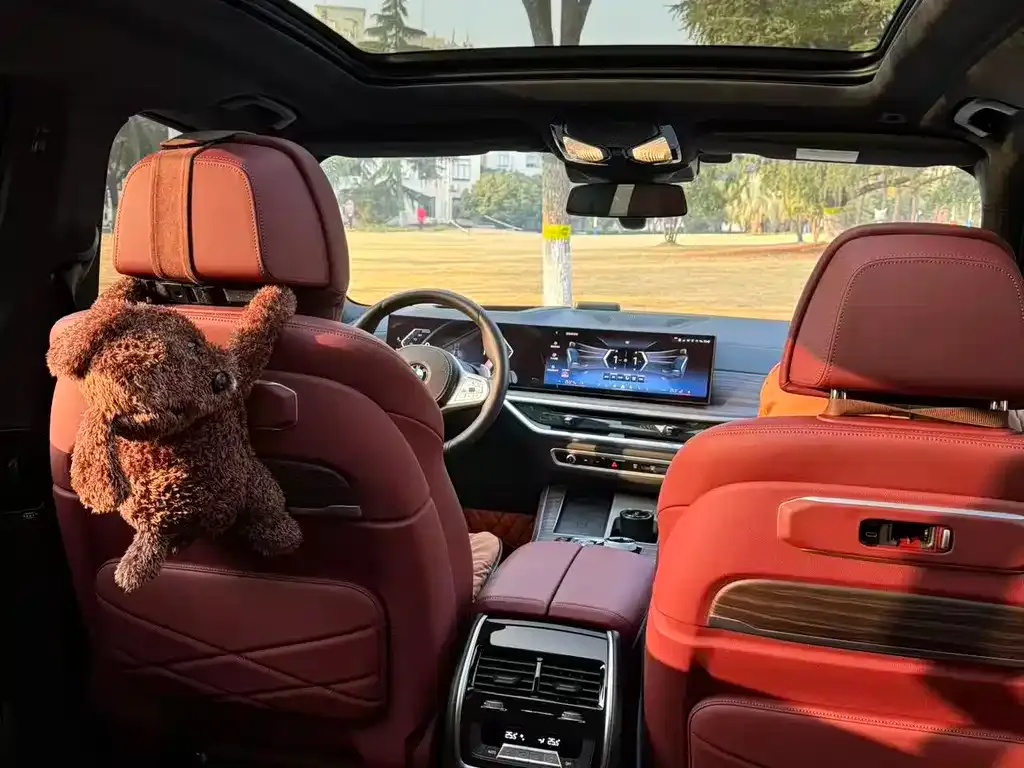 BMW X5 2024 из CN, фото 5