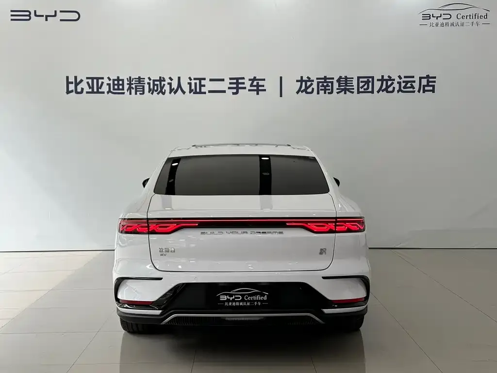 BYD Han 2023 из CN, фото 5