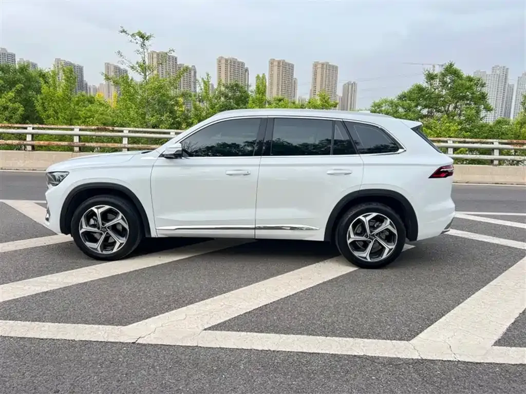 Geely Xingyue L 2024 из CN, фото 7