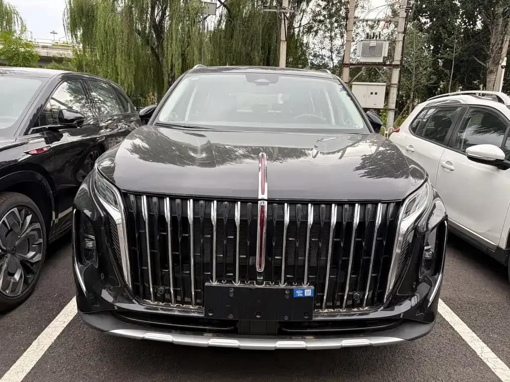 Hongqi HS7 PHEV — фото 1