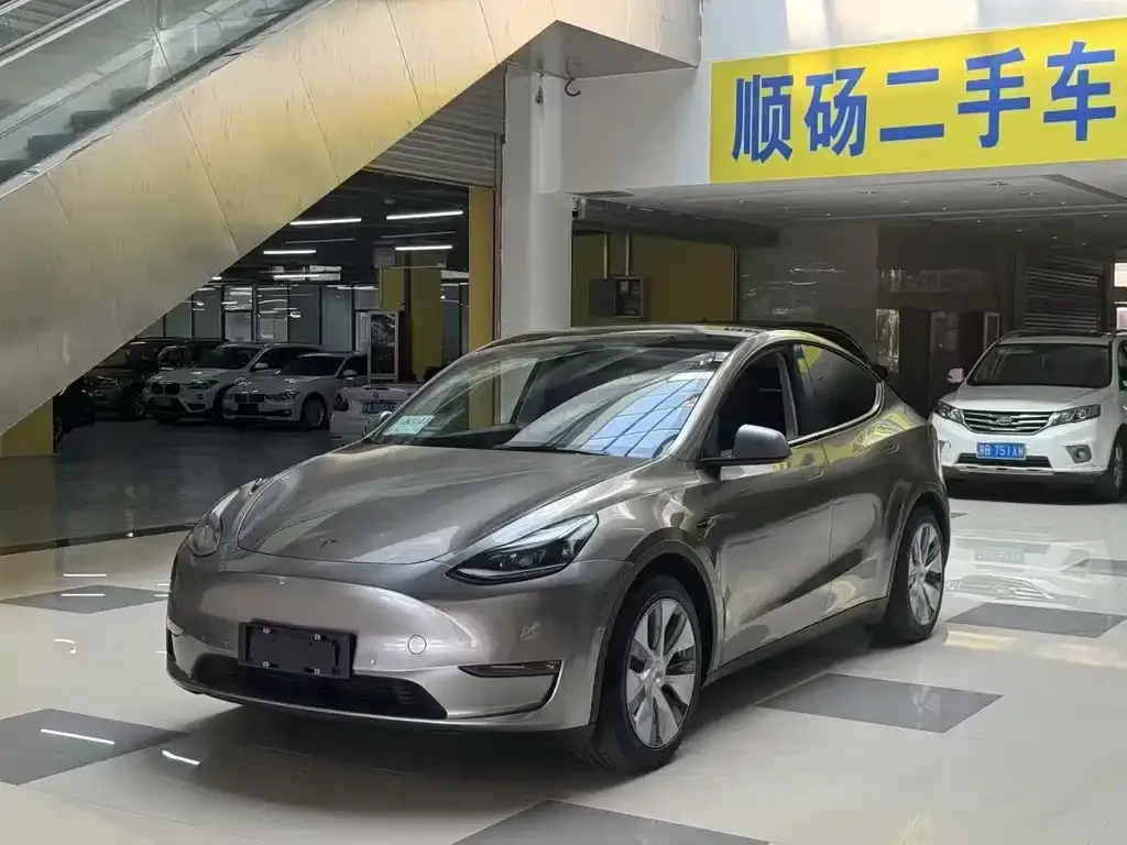 Tesla Model Y 2021 из CN, фото 1