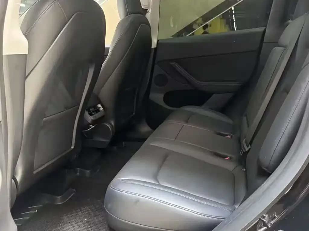 Tesla Model Y 2021 из CN, фото 4