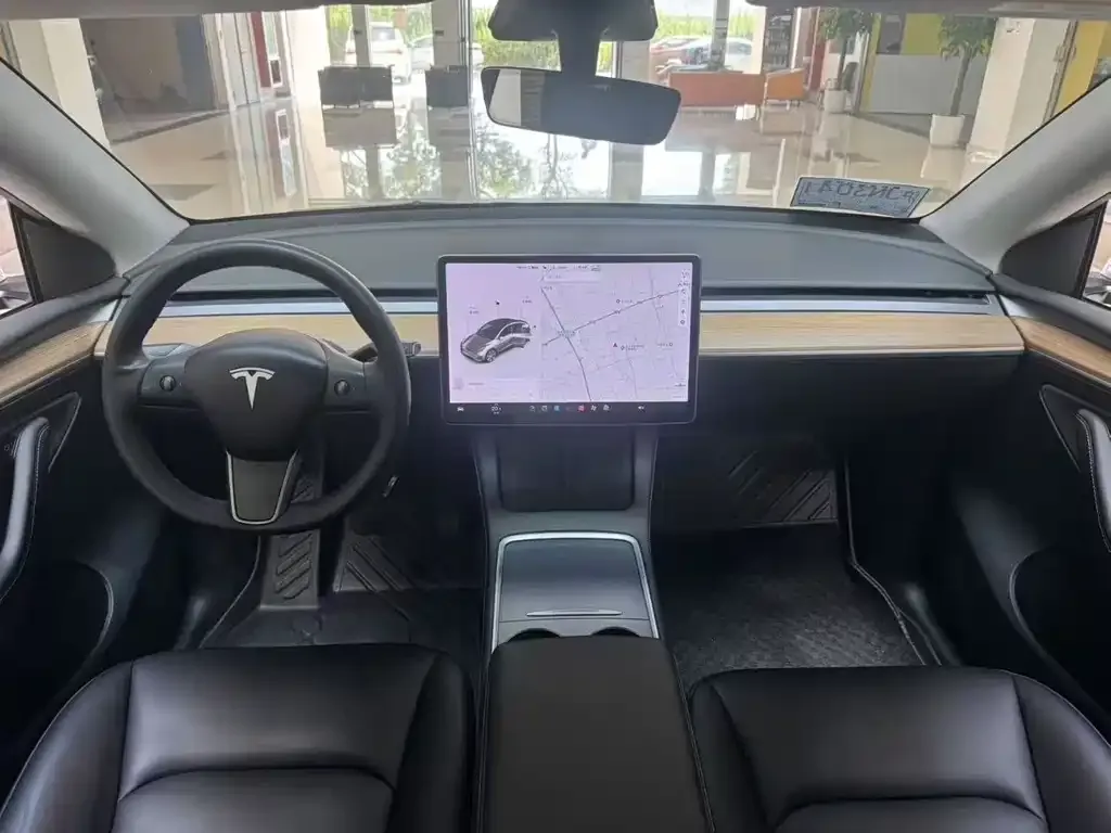 Tesla Model Y 2021 из CN, фото 6