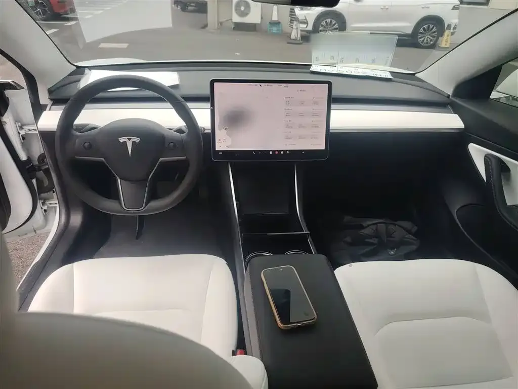 Tesla Model 3 2021 из CN, фото 10