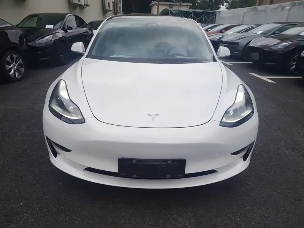 Tesla Model 3 2021 из CN, фото 3