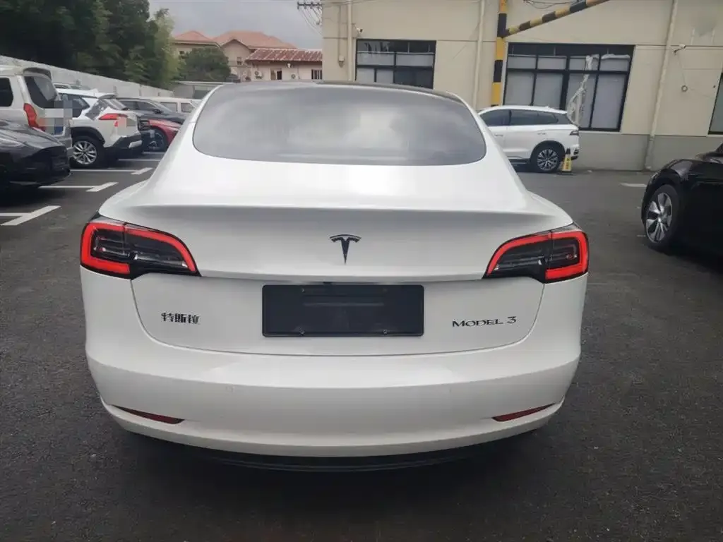 Tesla Model 3 2021 из CN, фото 6