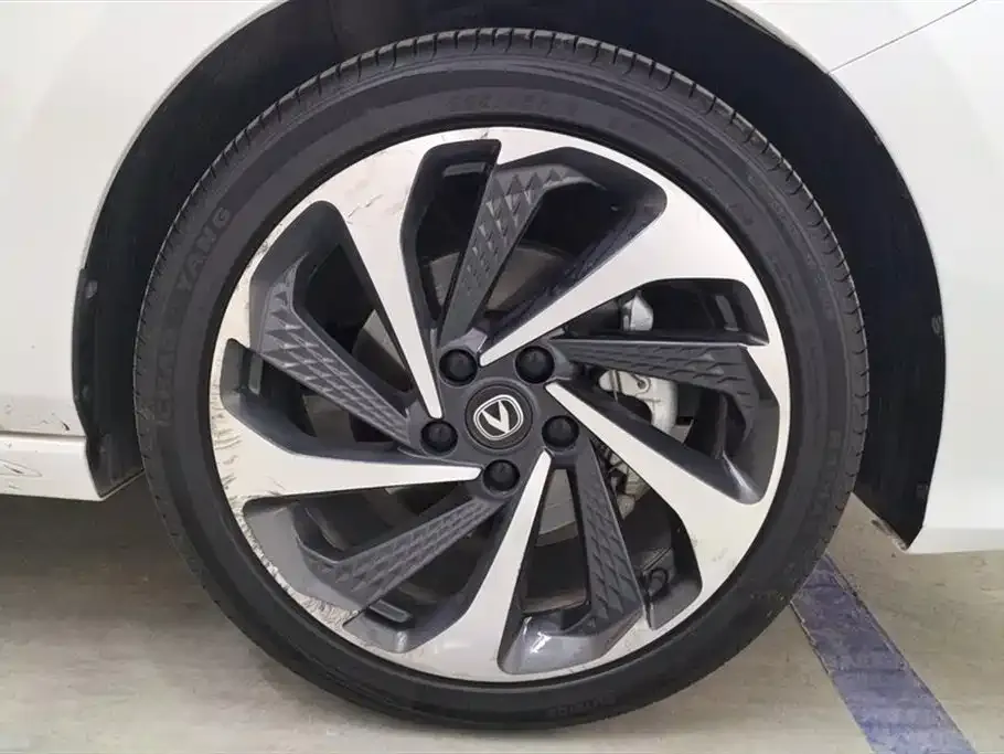 Changan Ruicheng PLUS 2024 из CN, фото 6