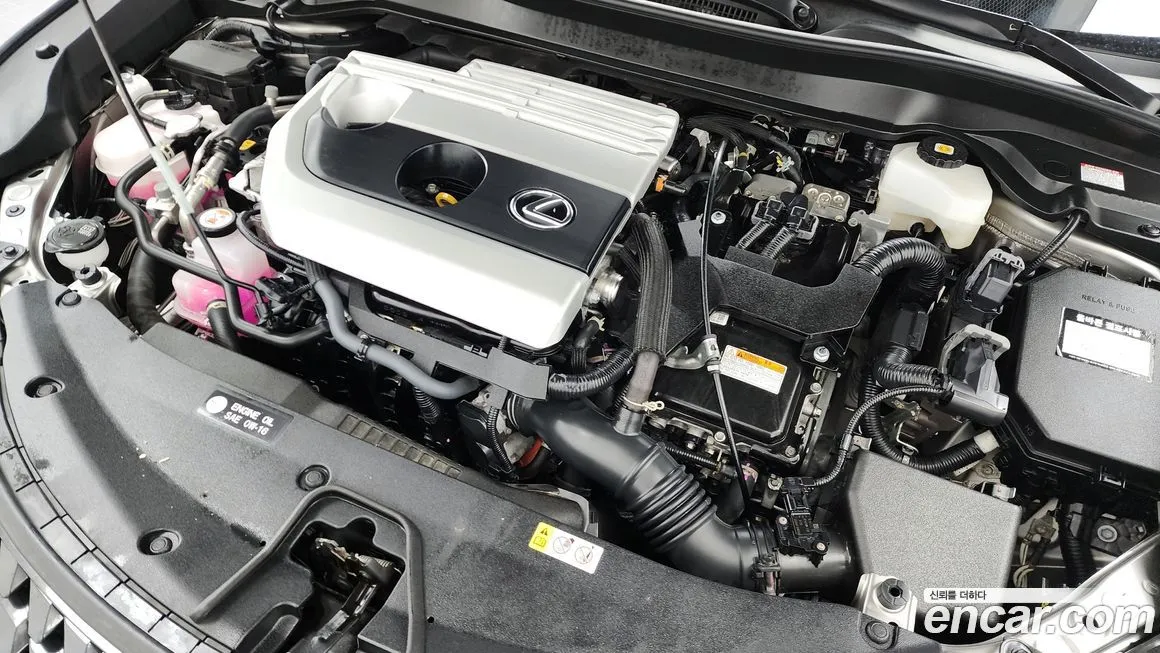 Lexus UX 2023 из KR, фото 6