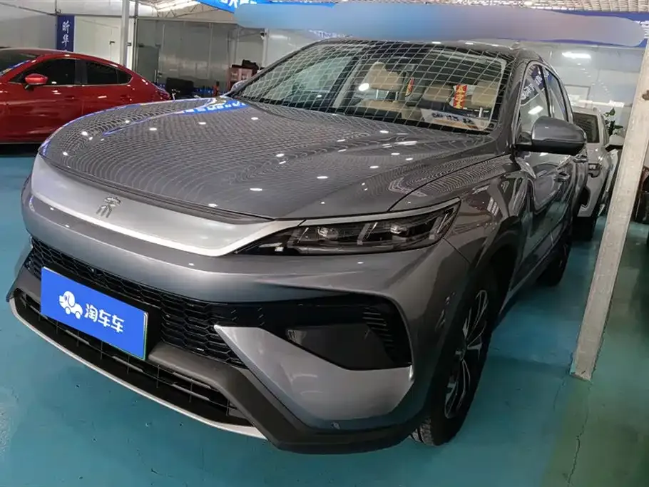 BYD Pro New Energy 2024 из CN, фото 1