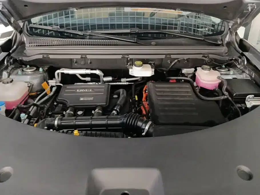 BYD Pro New Energy 2024 из CN, фото 10