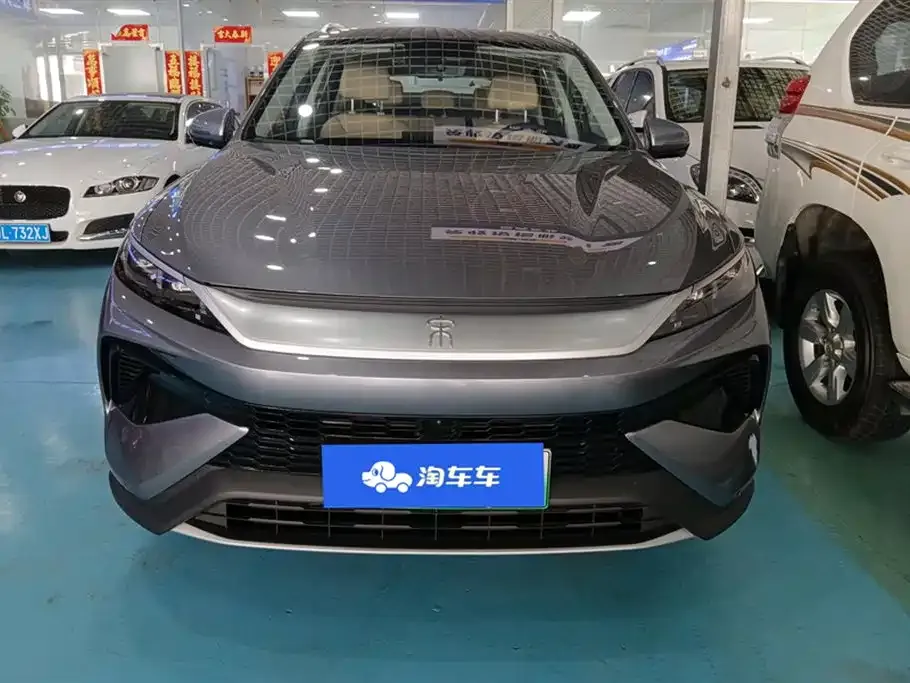 BYD Pro New Energy 2024 из CN, фото 2