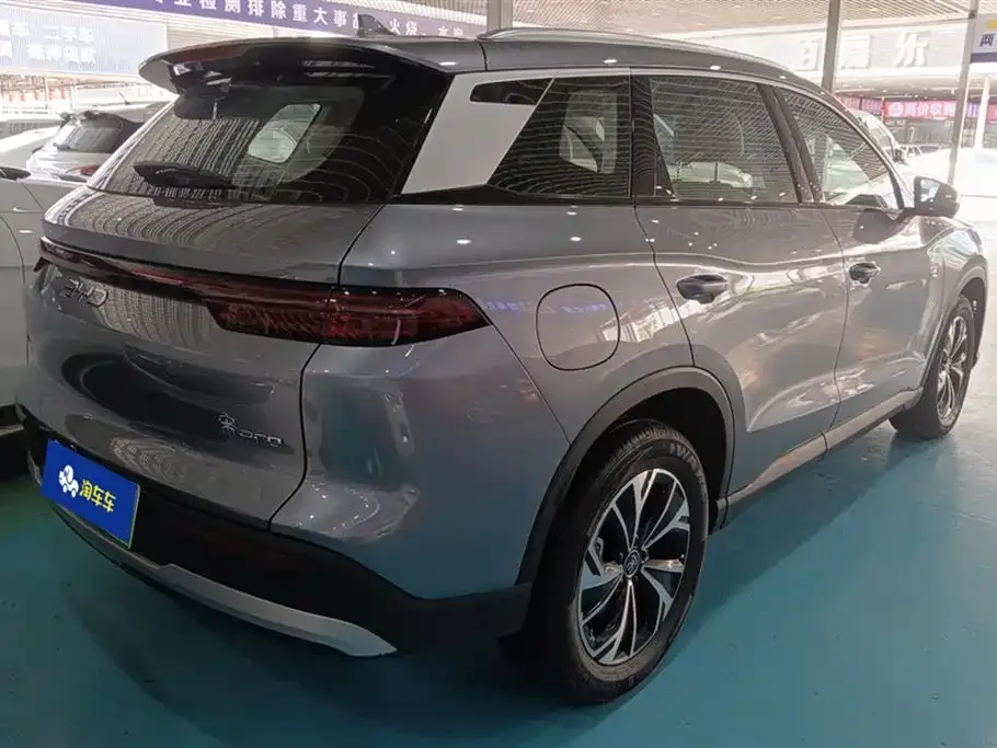 BYD Pro New Energy 2024 из CN, фото 3