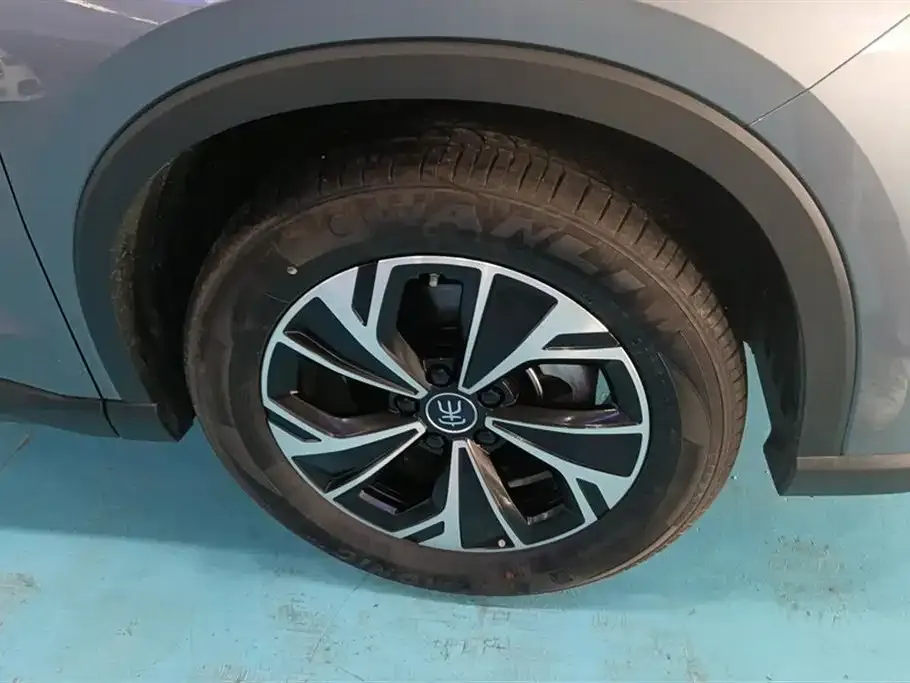 BYD Pro New Energy 2024 из CN, фото 6