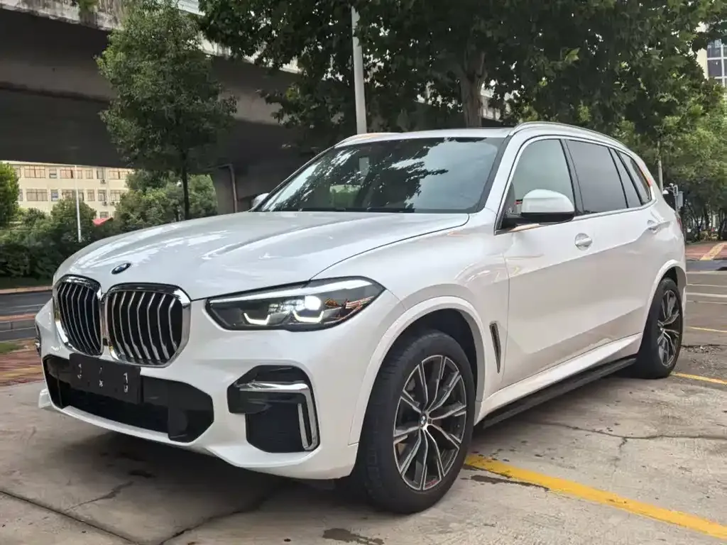 BMW X5 2022 из CN, фото 2